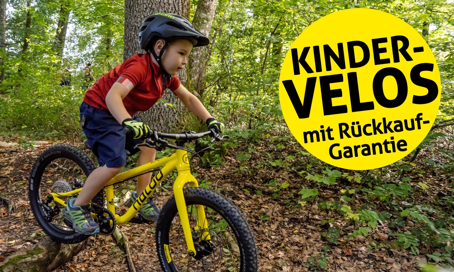 Kindervelos mit Rückkauf-Garantie