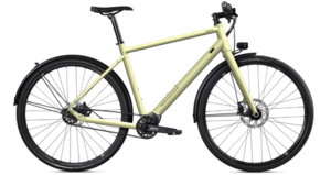 MTB Cycletech Ronin Pinion, Custom Modell